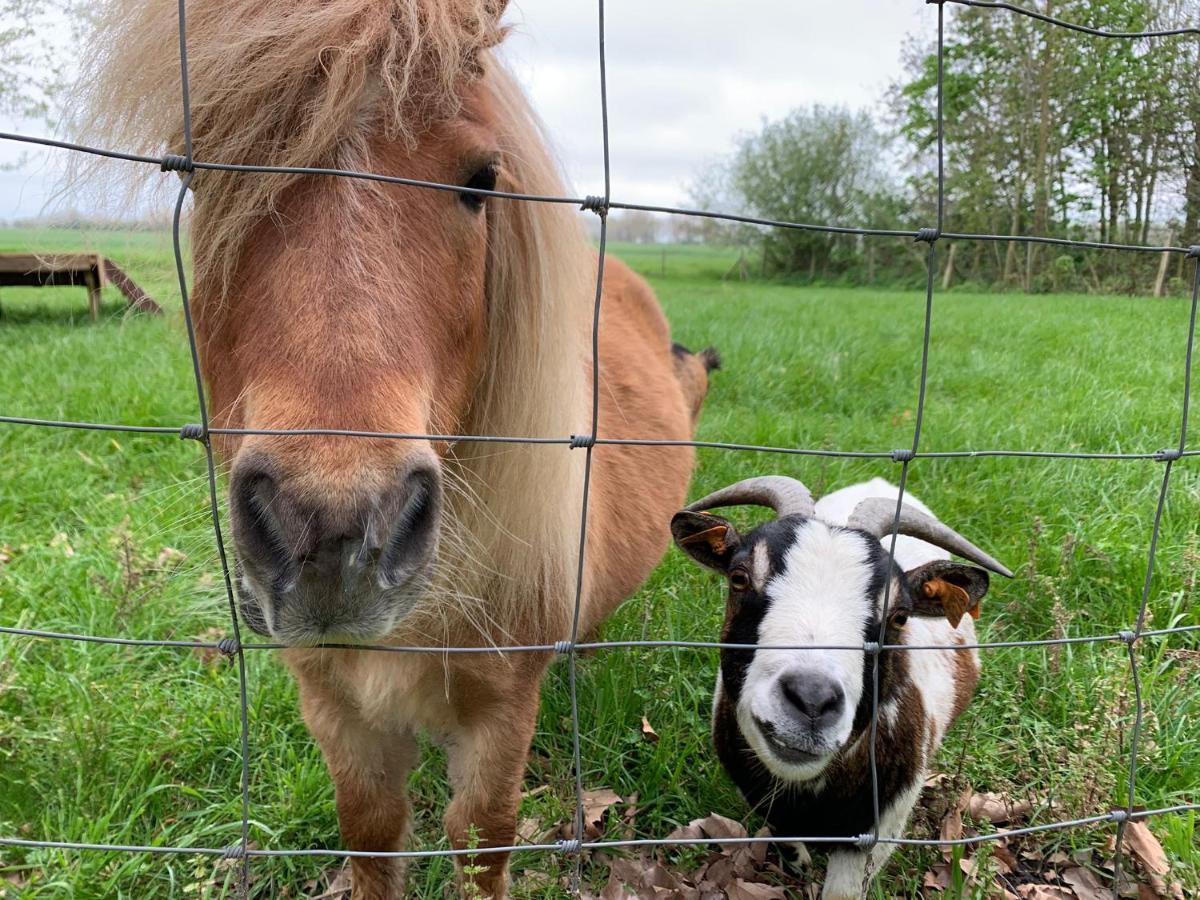 De Scheure, Charmant Vakantiehuisje Midden In De Natuur Alveringem Esterno foto
