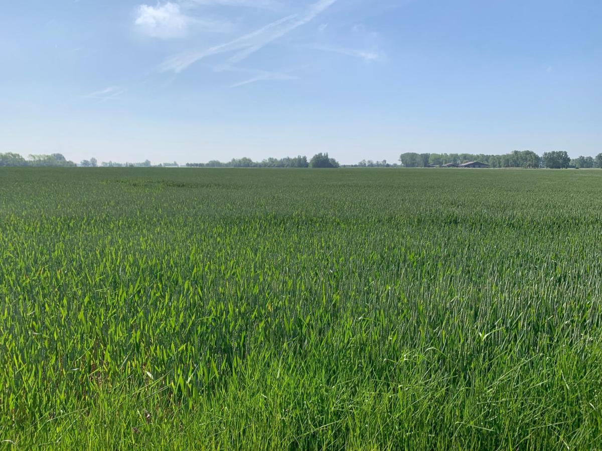 De Scheure, Charmant Vakantiehuisje Midden In De Natuur Alveringem Esterno foto