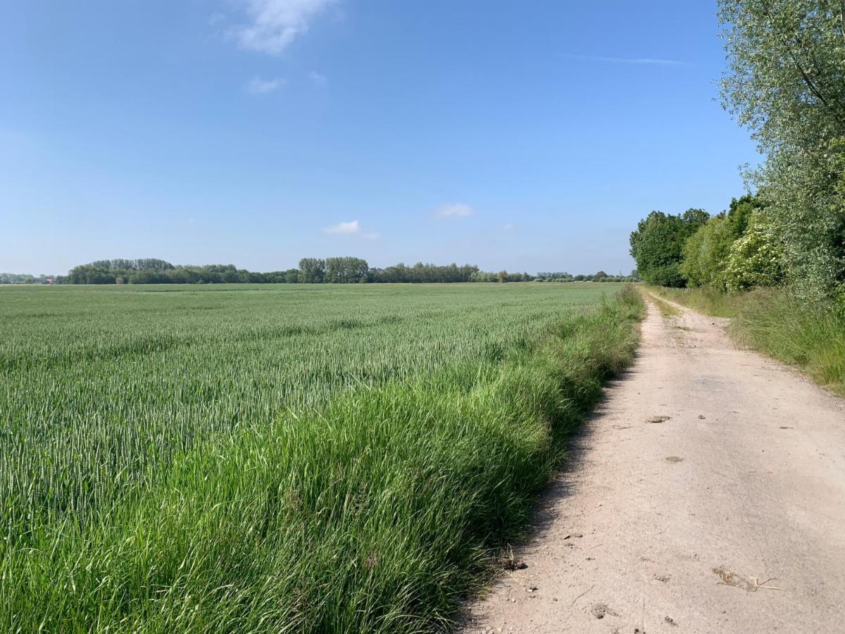 De Scheure, Charmant Vakantiehuisje Midden In De Natuur Alveringem Esterno foto